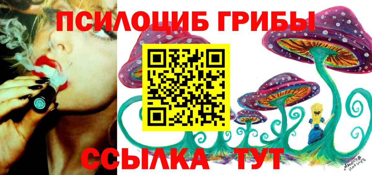 Галлюциногенные грибы Psilocybe  Галлюциногенные грибы Psilocybe  даркнет сайт  Вход с VPN  Кирово-Чепецк 
